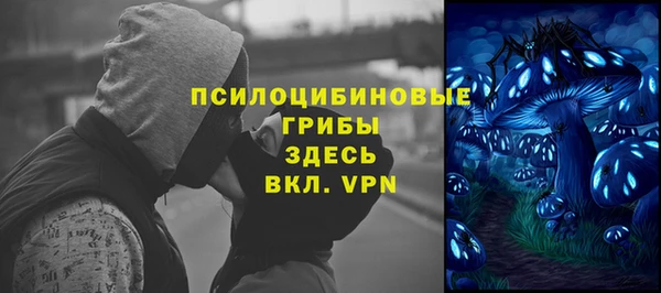 круглые Алексеевка