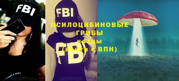 круглые Алексеевка