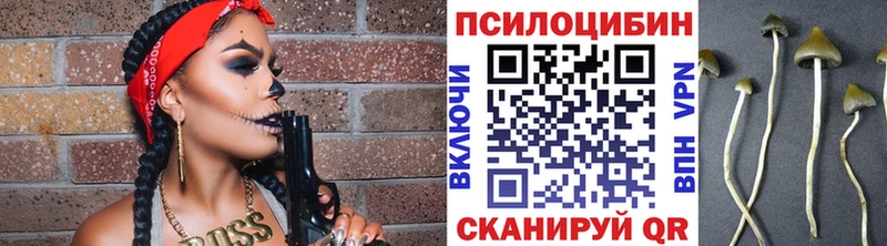 Псилоцибиновые грибы Cubensis  Бердск 